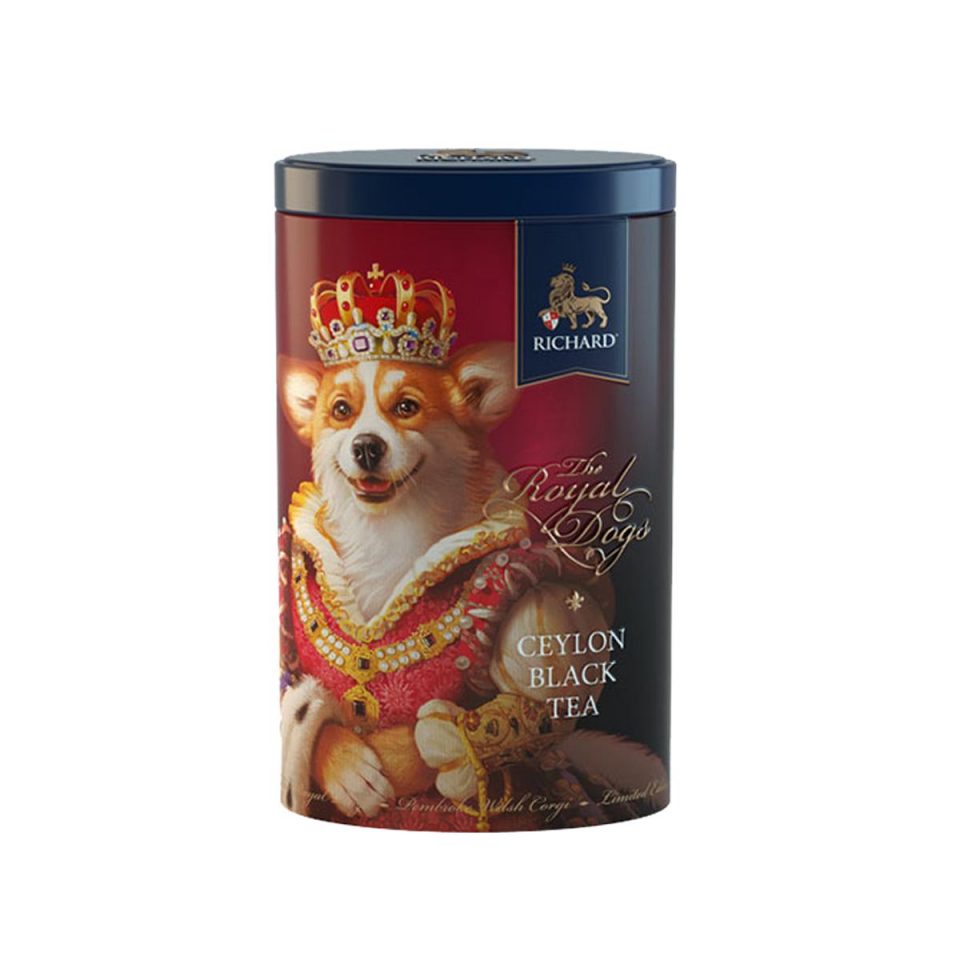 Richard RH06026 corgi