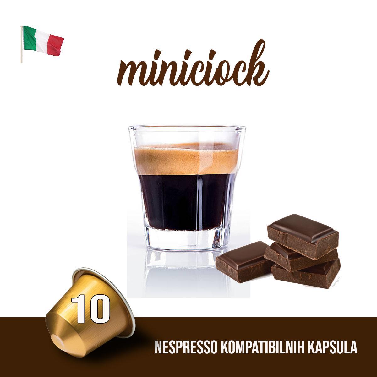 NES10 miniciock